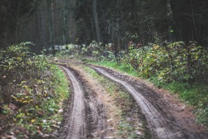 Kreatywna integracja - imprezy off road