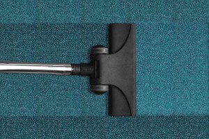 Jak utrzymać czystość w domu? Kluczowe zalecenia dla właścicieli psów i kotów