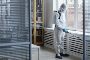 Jak przygotować mieszkanie do odpluskwiania?