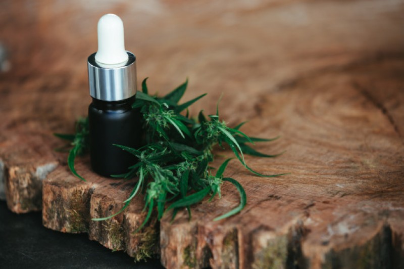 CBD w Polsce, czyli gdzie i jak legalnie kupić produkty konopne?