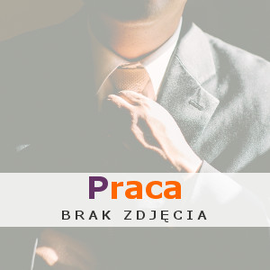 SPAWACZ (Zarobki: od 4 000 do 8 500 PLN) - Bochnia, Oferta pracy